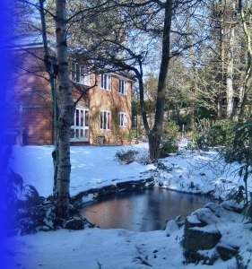Winter at Bransgore